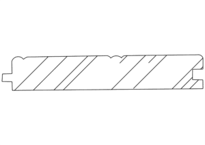 Cross-section of a spur gear profile.