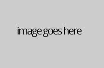 Placeholder image with "image goes here" text.